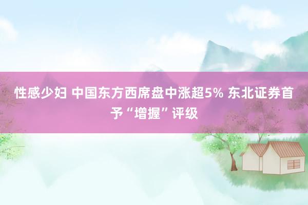性感少妇 中国东方西席盘中涨超5% 东北证券首予“增握”评级