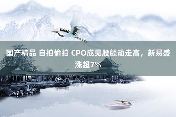 国产精品 自拍偷拍 CPO成见股颤动走高，新易盛涨超7%