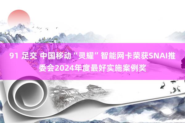 91 足交 中国移动“灵耀”智能网卡荣获SNAI推委会2024年度最好实施案例奖
